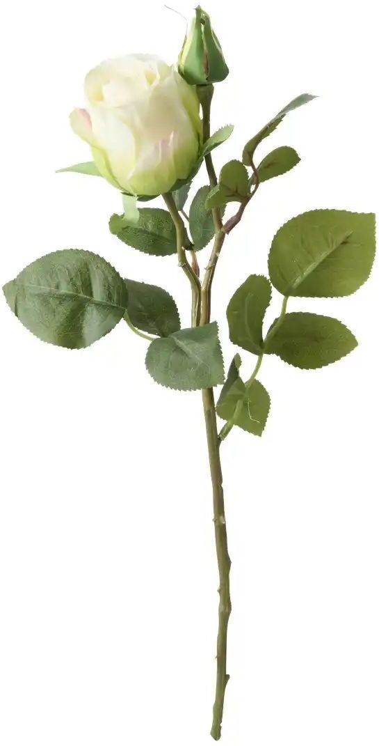 Höffner Rose   ¦ creme ¦ Kunststoff,Eisen ¦ Maße (cm): H: 37