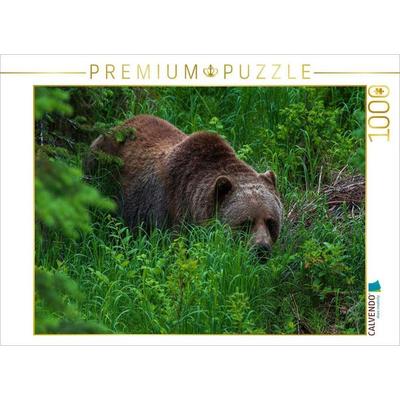 CALVENDO Puzzle Bär im Grünen | 1000 Teile Lege-Größe 64x48cm Foto-Puzzle für glückliche Stunden