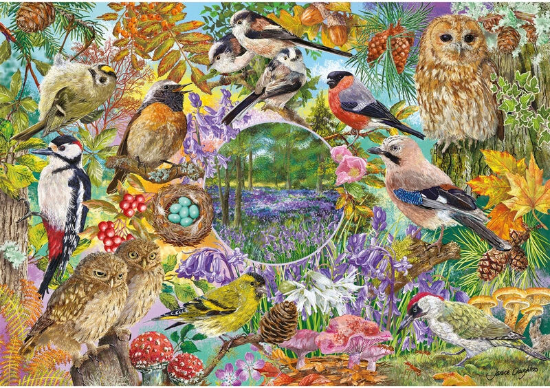 Puzzles 4 x 500 pcs Wings in the Wild - Gibsons