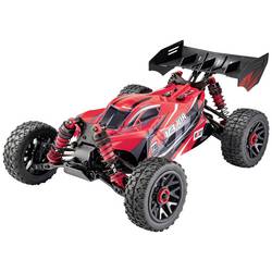 Reely Major Rot Brushed 1:14 RC Modellauto Elektro Buggy Allradantrieb (4WD) RtR 2,4 GHz Inkl. Akku und Ladegerät RE-7846527