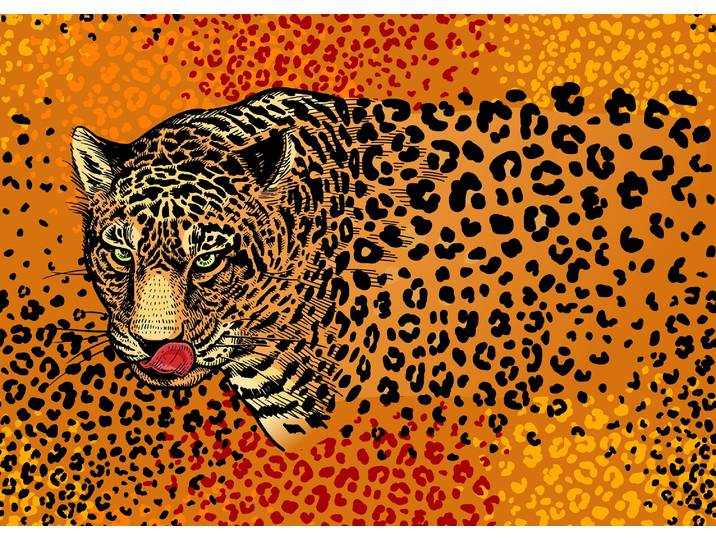 Fototapete PAPERMOON ABSTRAKT DESIGN- LEOPARD , bunt, B:4,5m L:2,8m, Vlies, Tapeten, Fototapete