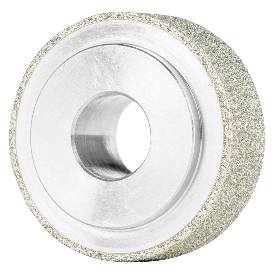 Pferd D1A1 30-10-10 D 151 (D1A1 30-10-10 D 151)