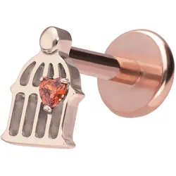 Titan Labret mit Push Fit KÄFIG
