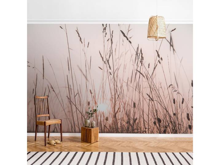 Papier peint Soirée d’été 336 x 225cm 336 x 225 cm