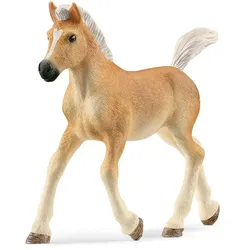 Schleich® Haflinger Fohlen 13951
