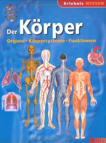 Der Körper: Organe, Körpersysteme, Funktionen - Preis vom 30.09.2026 09:01:18 h