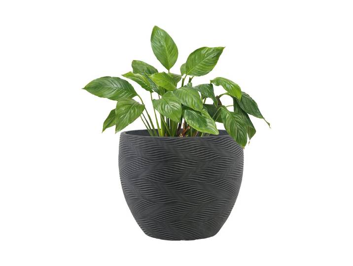 Pflanzgefäss Orcus Ø44xH36cm Black