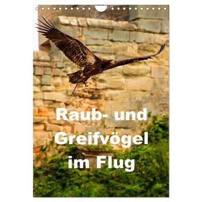 Raub- und Greifvögel im Flug (Wandkalender 2026 DIN A4 hoch), CALVENDO Monatskalender