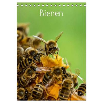 Bienen (Tischkalender 2026 DIN A5 hoch), CALVENDO Monatskalender