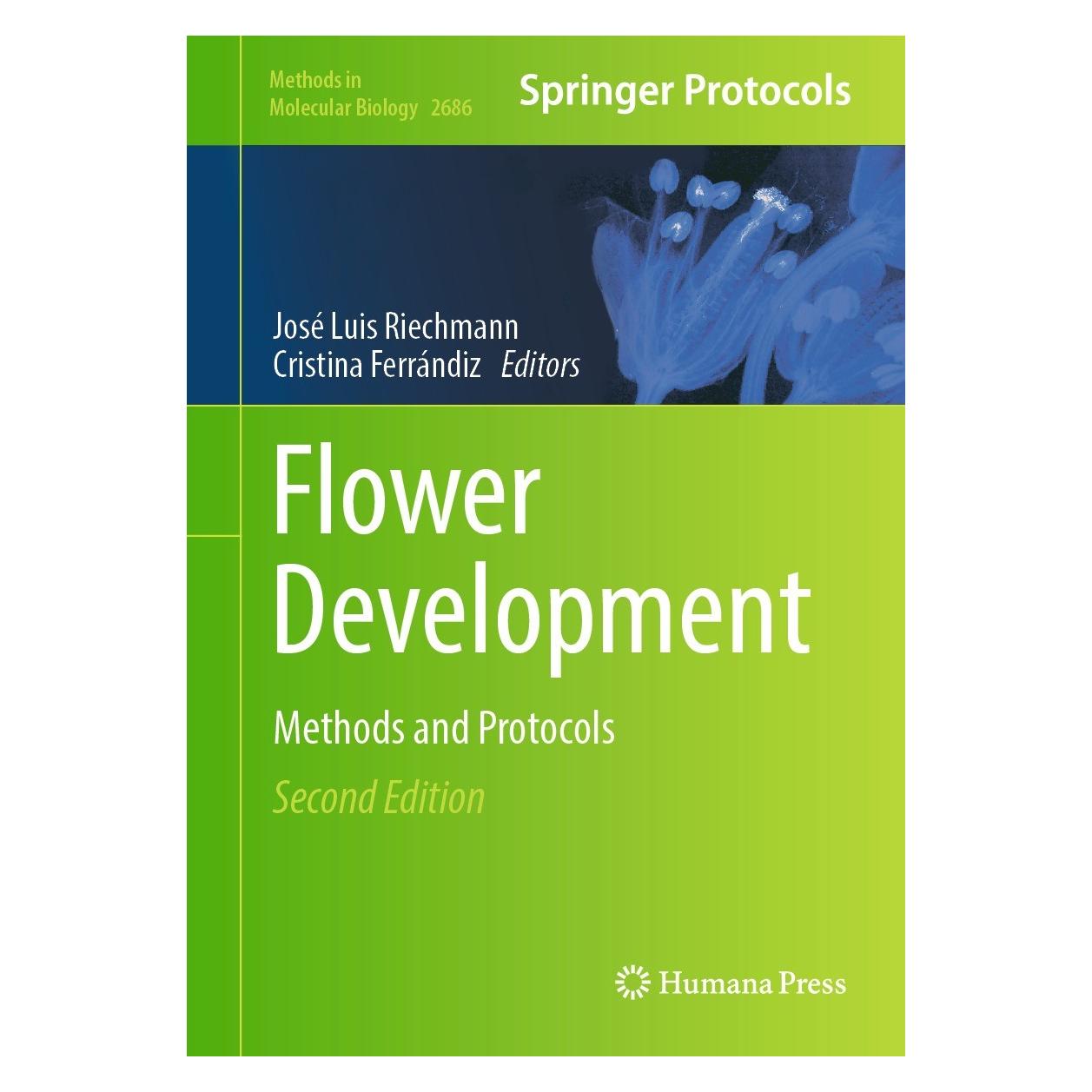 Springer Flower Development (Englisch, Hardcover, Cristina Ferrándiz, José Luis Riechmann) (9781071632987)