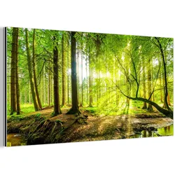 METALLBILD Wald - Landschaft - Wasser - Bäume - Sonne - Grün - Natur 80x40 cm