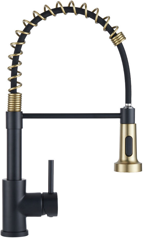 Belfry Kitchen Ailsa Kitchen Faucet Side Spray Matte Black/Gold