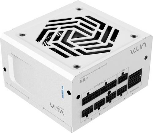 FSP Fortron PPA8504214 PC Netzteil 850W ATX 80PLUS Gold