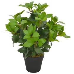 Décoshop26 - Künstliche Pflanze mit Topf grüner Lorbeer 40 cm Innendekoration DEC022022 DEC022022