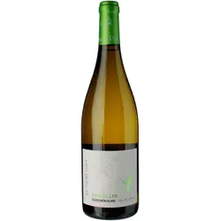 Sauvignon Blanc - Parcelles 2025 - Réthoré Davy