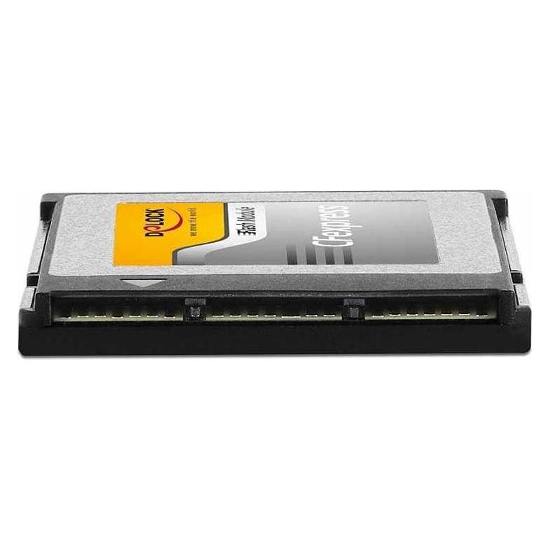 Delock 54066 (256 GB, CF) (54066)