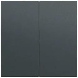 Gira Wippe Serien Schalter anthrazit lackiert 349573