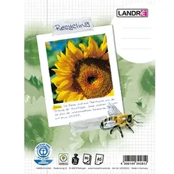 Landré Landre Collegeblock 100050114 DIN A5 mit Rand 80Blatt kariert