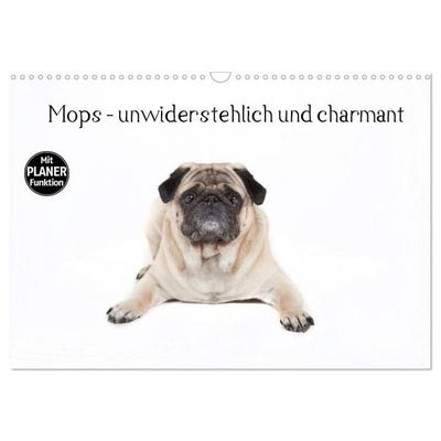 Mops - unwiderstehlich und charmant (Wandkalender 2027 DIN A3 quer), CALVENDO Monatskalender