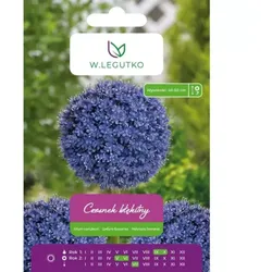 Blauer Knoblauch  5 Stück
