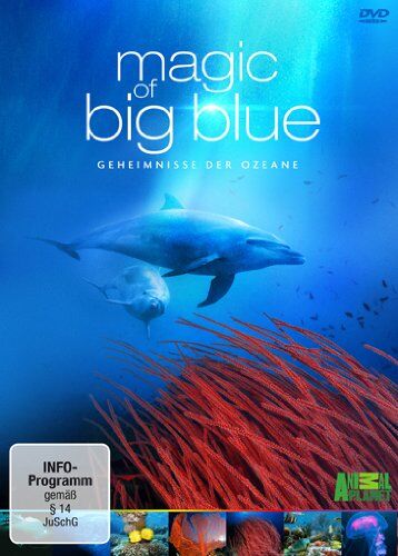 Darek Sepilo - Magic of Big Blue - Geheimnisse der Ozeane [3 DVDs] - Preis vom 05.10.2026 03:47:11 h