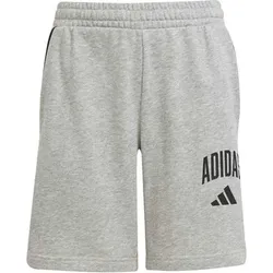 ADIDAS Kinder Shorts Seasonals Essentials Collegiate Typography Kids, Größe 164 in Silber Silber
