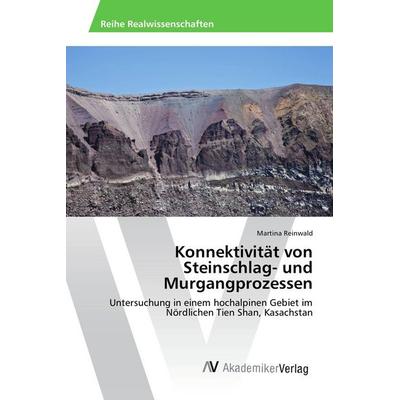 Konnektivität von Steinschlag- und Murgangprozessen, Taschenbuch von Martina Reinwald, AV Akademikerverlag, 978-3-639-48903-3