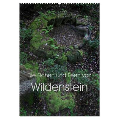 Die Eichen und Feen von Wildenstein (Wandkalender 2026 DIN A2 hoch), CALVENDO Monatskalender