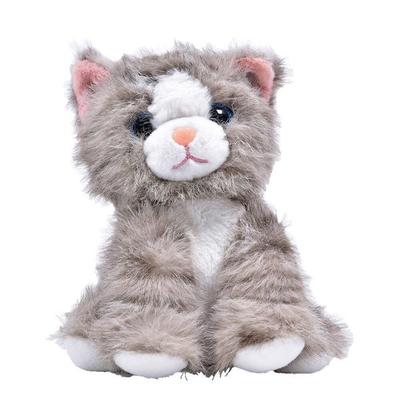 Laber Katze