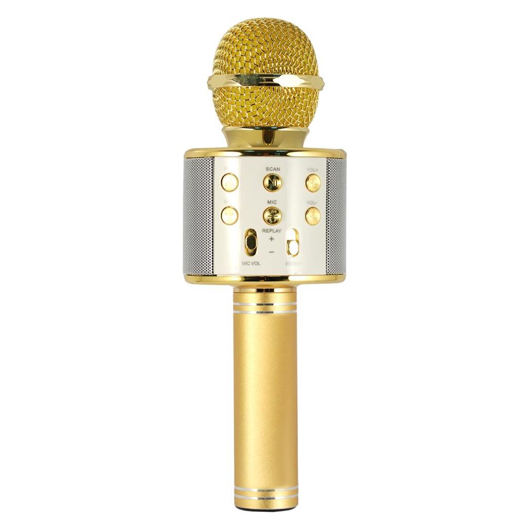 Xtreme Hollywood Gold, Silber Karaoke-Mikrofon (27837K)