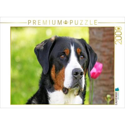 CALVENDO Puzzle Portrait Großer Schweizer Sennenhund | 2000 Teile Lege-Größe 90x67cm Foto-Puzzle für glückliche Stunden, Sonstige von , Calvendo