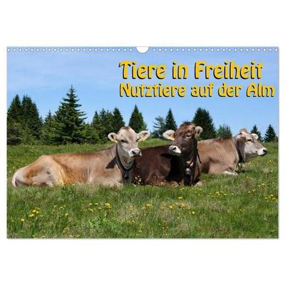 Tiere in Freiheit - Nutztiere auf der Alm (Wandkalender 2026 DIN A3 quer), CALVENDO Monatskalender