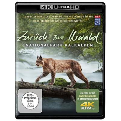 Zurück zum Urwald - Nationalpark Kalkalpen (4K Ultra HD), Blu-ray 4K