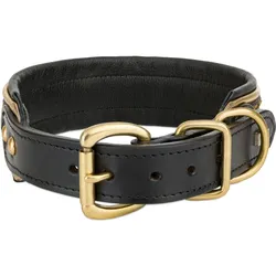 Barry King Obroża skórzana, 42-49 cm/42 mm, pantera (Hund), Halsband + Leine
