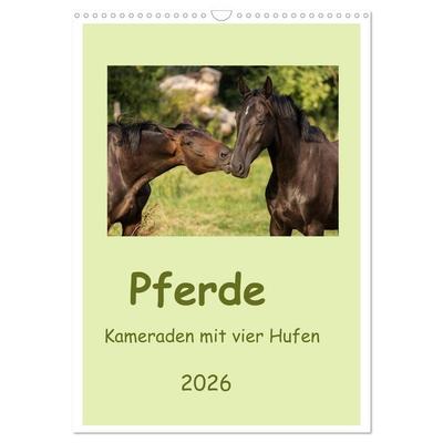 Pferde - Kameraden mit vier Hufen (Wandkalender 2026 DIN A3 hoch), CALVENDO Monatskalender