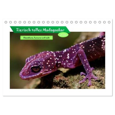 Tierisch tolles Madagaskar - Chamäleons, Lemuren und mehr (Tischkalender 2026 DIN A5 quer), CALVENDO Monatskalender