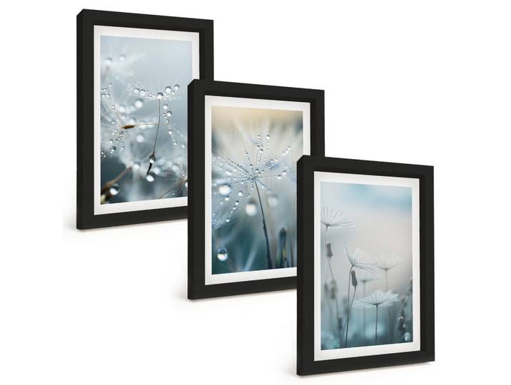 BILDER SET 3er Set - 20x30 cm Schwarzer Rahmen - Tautropfen auf Löwenzahn