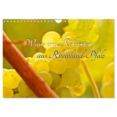 Wein- und Rebsorten aus Rheinland-Pfalz (Wandkalender 2027 DIN A4 quer), CALVENDO Monatskalender