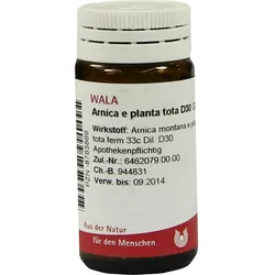 Arnica E Planta Tota D30 20 G