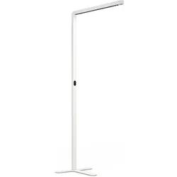 ofinto, Stehlampe, FL-PRO-01-S