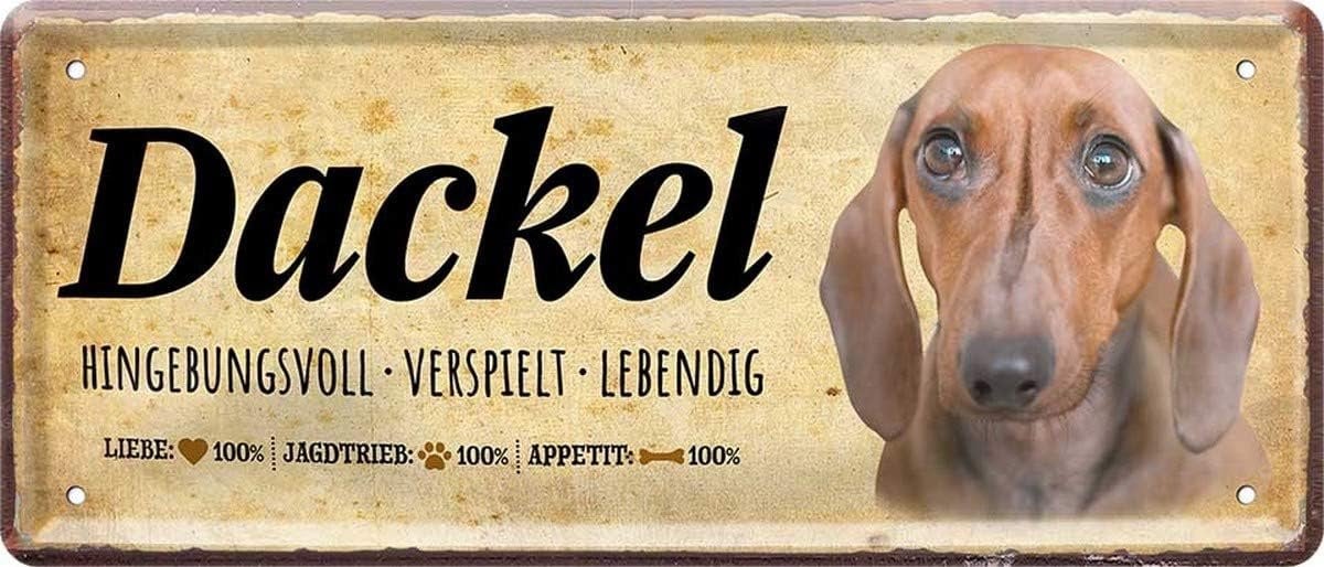 Decoratieve metalen plaat met Dachshund hond en letter - 28 x 12 cm