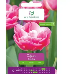 Tulipan-Dressing, 4 Stück