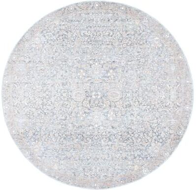 SAFAVIEH Webster Delyanka Vintage Rug