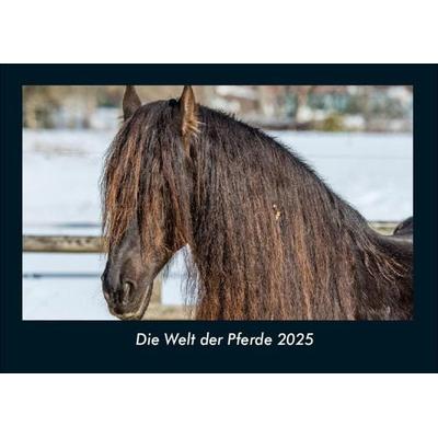 Die Welt der Pferde 2025 Fotokalender DIN A4