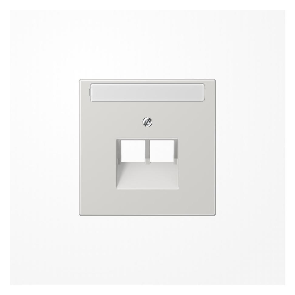 JUNG Zentralplatte UAE/IAE 2f LS lgr glz LS969-2NAUALG (LS969-2NAUALG)