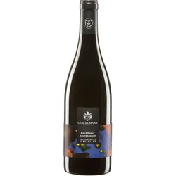 Gesellmann Blaufränkisch Hochberc BIO 2019