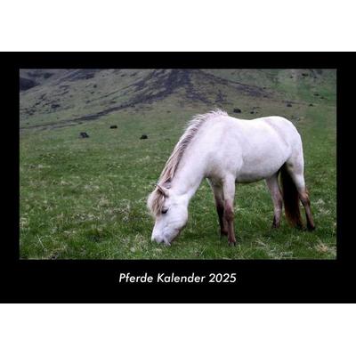Pferde Kalender 2025 Fotokalender DIN A3