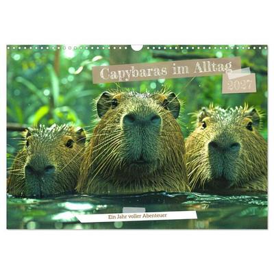 Capybaras im Alltag - Ein Jahr voller Abenteuer (Wandkalender 2027 DIN A3 quer), CALVENDO Monatskalender