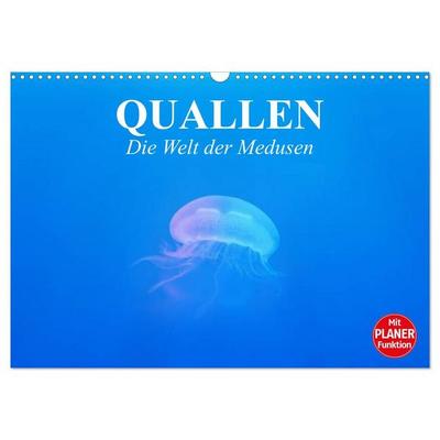 Quallen. Die Welt der Medusen (Wandkalender 2027 DIN A3 quer), CALVENDO Monatskalender