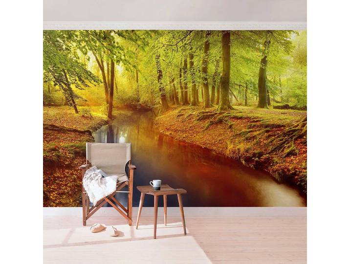 Vliestapete Herbstwald 336 x 225cm 336 x 225 cm